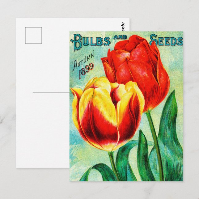 Cartão Postal Anúncio Antiquado de Jardim, Tulipas Amarelas Verm (Frente/Verso)