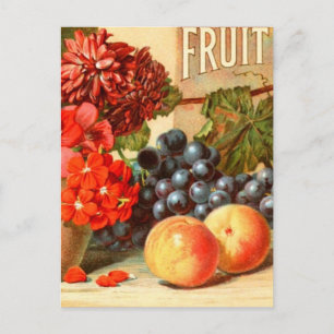Cartão Postal Anúncio Colorido de Sal de Fruta