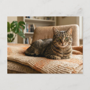 Cartão Postal Anúncio de Casa para Gatos para Sempre