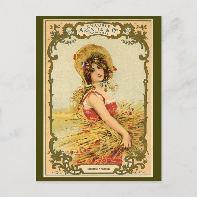 Cartão Postal Anúncio de Colheita de Chicória (Frente)