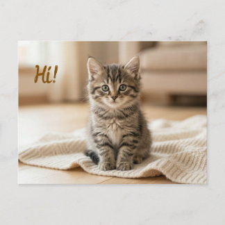 Cartão Postal Anúncio de Foto do Nosso Novo Gatinho 