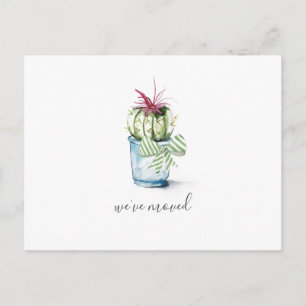 Cartão Postal Anúncio de Movimentação de Cactus Caquetários Cutô