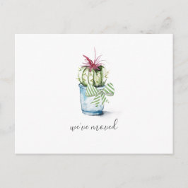 Cartão Postal Anúncio de Movimentação de Cactus Caquetários Cutô