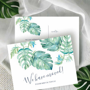 Cartão Postal Anúncio de Mudança da Vegetação Botânica Tropical