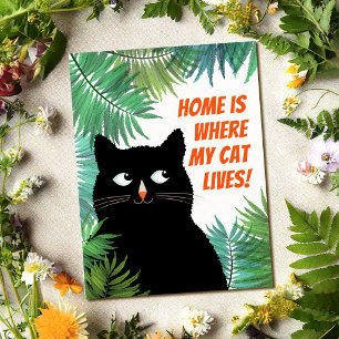 Cartão Postal Anúncio de mudança de gato preto