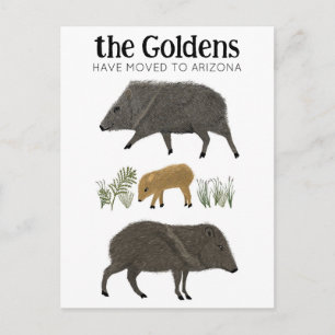 Cartão Postal ANÚNCIO DE MUDANÇA Família Javelina Deserto Arizon