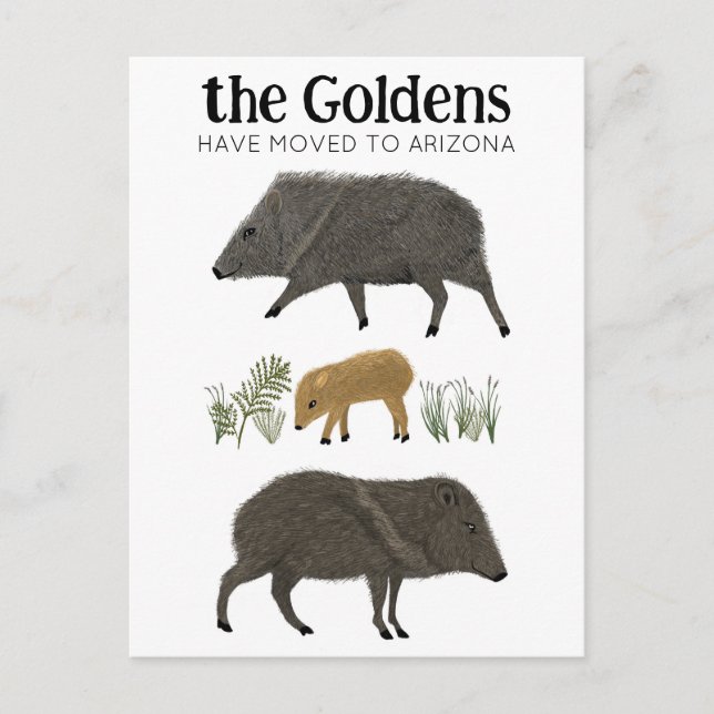 Cartão Postal ANÚNCIO DE MUDANÇA Família Javelina Deserto Arizon (Frente)