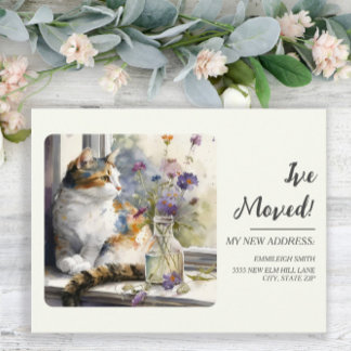 Cartão Postal Anúncio de Mudança Gato Calico Janela