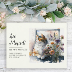 Cartão Postal Anúncio de Mudança Gato Calico Margaridas Lavanda