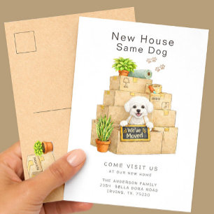Cartão Postal Anúncio de Mudança para Nova Casa do Bichon Frise