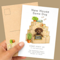Anúncio de Mudança para Nova Casa do Chocolate Lab