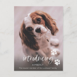 Cartão Postal Anúncio de Novo Filhote, Adoção de Cão Adulto