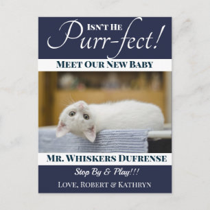 Cartão Postal Anúncio de Novo Gato "Perfeito"