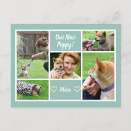 Cartão Postal Anúncio de Pet da Família de Colagem de Fotografia