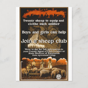 Cartão Postal Anúncio de Poster de Ovinos da Primeira Guerra Mun