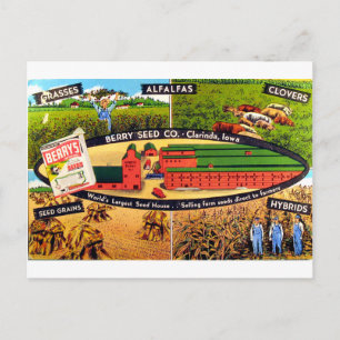 Cartão Postal Anúncio De Sementes Vintage