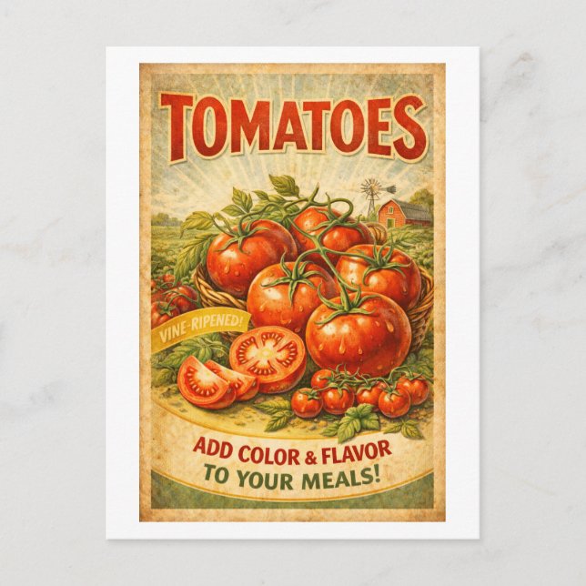 Cartão Postal Anúncio de Tomate ao Estilo Vintage (Frente)