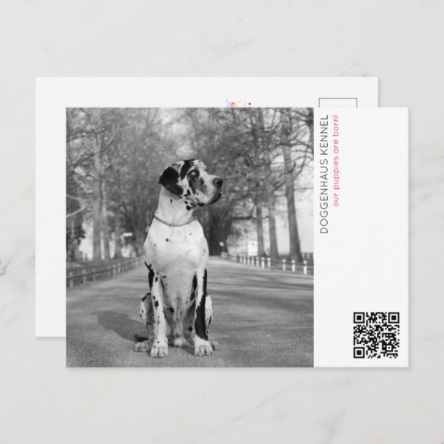 Cartão Postal Anúncio de uppy (Frente/Verso)