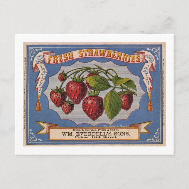 Cartão Postal Anúncio de vindima para morangos frescos cerca de  (Frente)