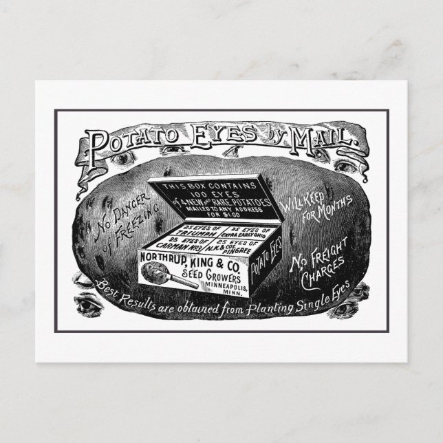 Cartão Postal Anúncio estranho de batata de vindima (Frente)