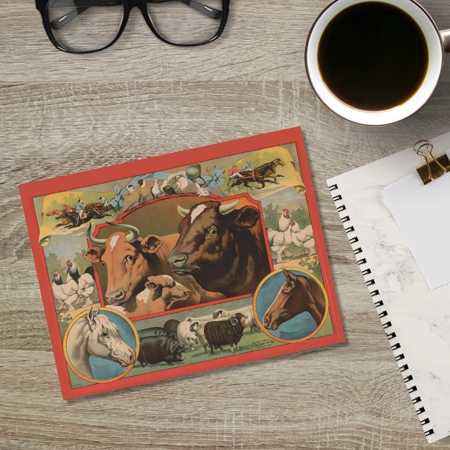 Cartão Postal Anúncio Ofemeral De Animais De Exploração (Criador carregado)