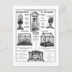 Cartão Postal Anúncio para 'Dick Radclyffe & Co.' Anúncio Russ