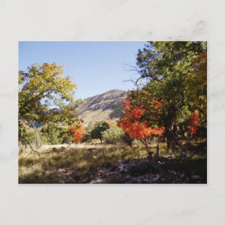 Cartão Postal Ao longo da Estrada - Campo