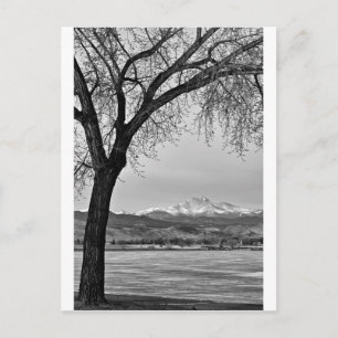 Cartão Postal Ao longo do lago em preto e branco