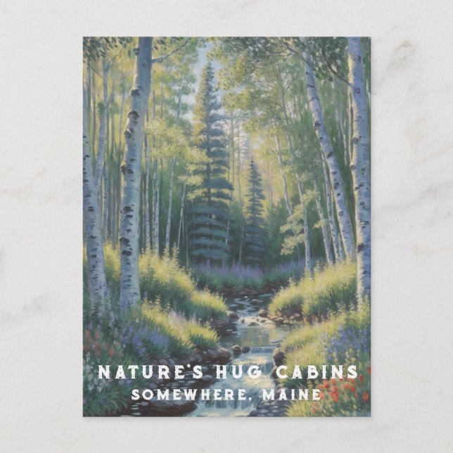 Cartão Postal *~* AP49 Nature Maine Forest Waterfall (Frente)