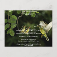 Apache Weding Bênção Mãe Hummingbird