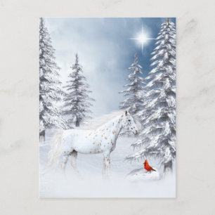Cartão Postal Apaloosa de inverno