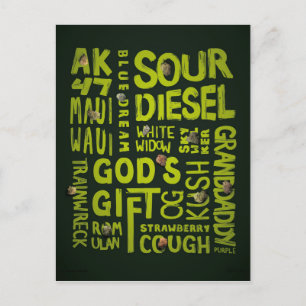 Cartão Postal Apelidos