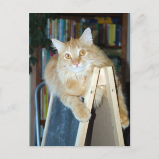 Cartão Postal Apelsin, o artista