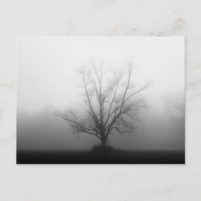 Cartão Postal Apenas (Frente)