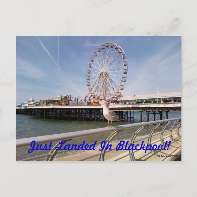 Cartão Postal Apenas aterrado (Frente)