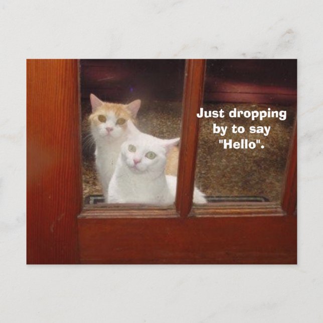 Cartão Postal Apenas Caindo Por (Frente)