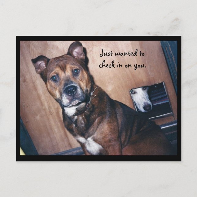 Cartão Postal Apenas checando você. (Frente)