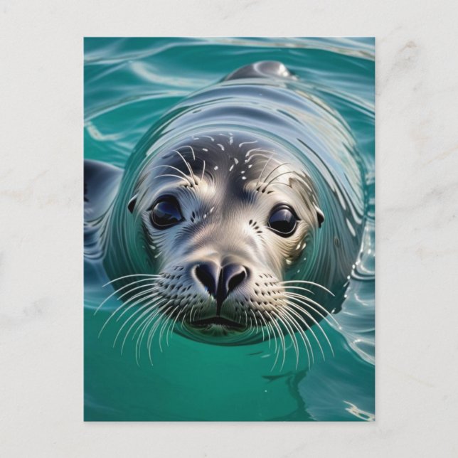 Cartão Postal Apenas checando você | Manter em contato (Frente)