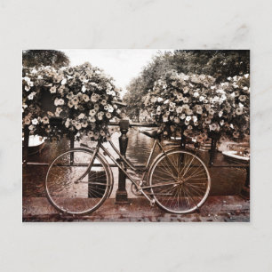 Cartão Postal Apenas em Amesterdã