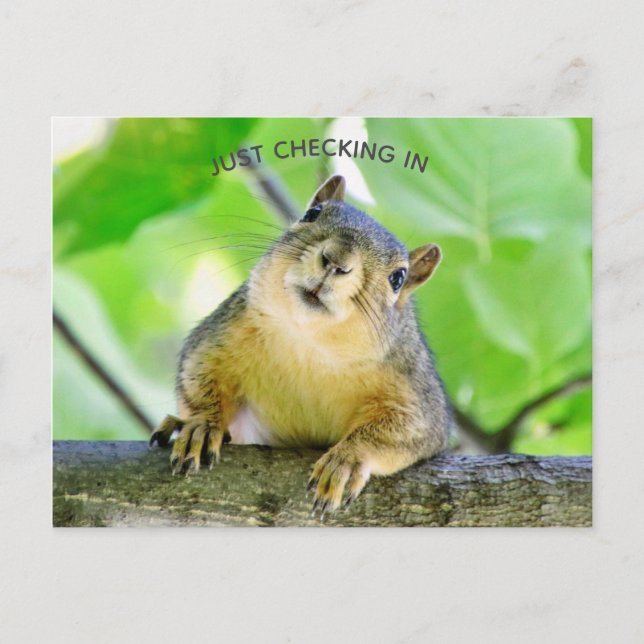 Cartão Postal Apenas Fazendo check-in (Frente)