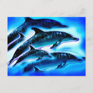 Cartão Postal Apenas golfinhos