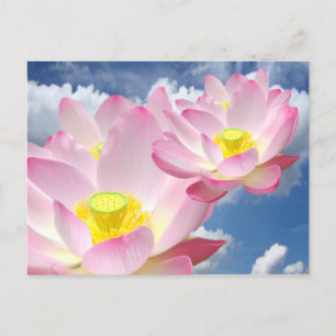 Cartão Postal Apenas o Lotus Blossom + o seu texto e ideias
