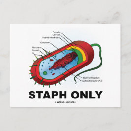 Cartão Postal Apenas Staph (Bacteria Health Medicine Humor)