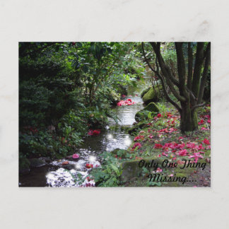 Cartão Postal Apenas Um Cartão-Postal Ausente