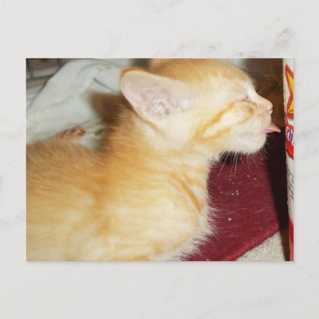 CARTÃO POSTAL APENAS UM CLIQUE (Frente)