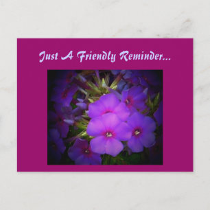 Cartão Postal Apenas Um Lembrete Amigável...Cartão Postal