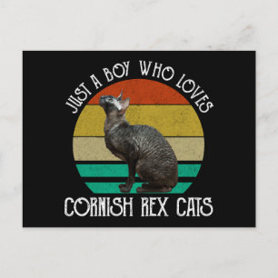 Cartão Postal Apenas um menino que ama gatos Cornish Rex