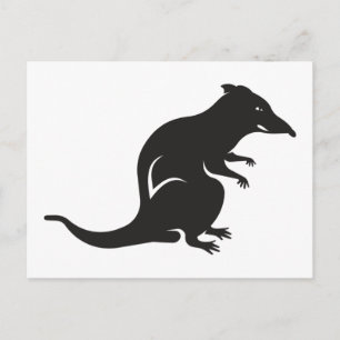Cartão Postal Apenas um rato