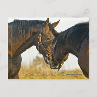 Cartão Postal Apenas um toque