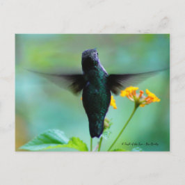 Cartão Postal Apenas zumbindo para dizer Olá!